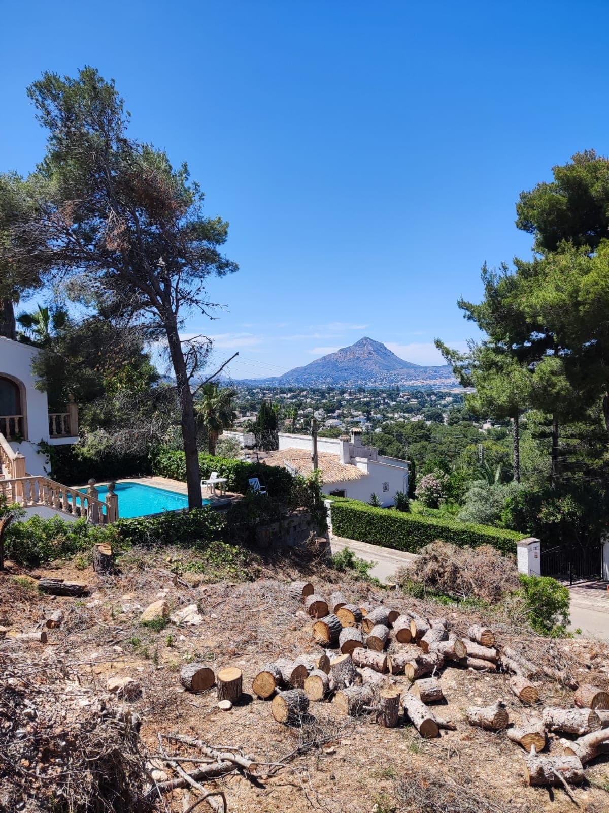 Desmontaje de pinos – Jávea