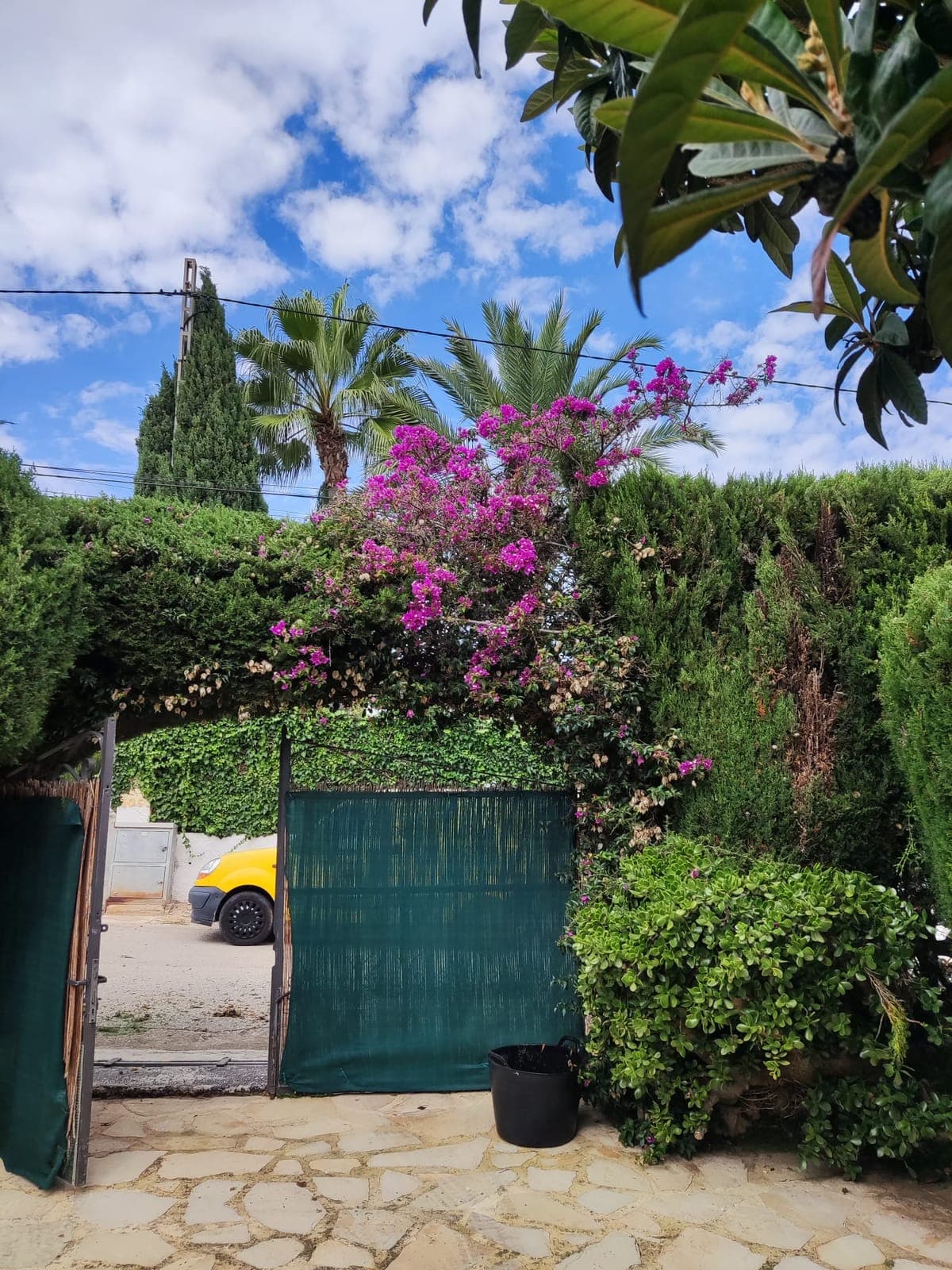 Mantenimiento de jardín – Jávea