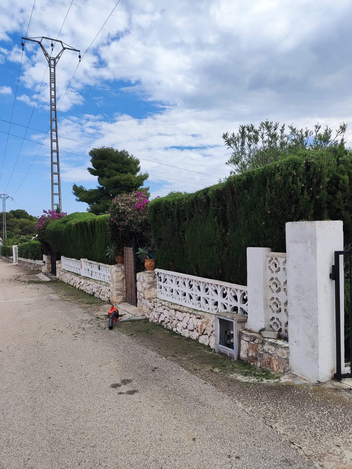 Recorte de seto de cipreses – Jávea