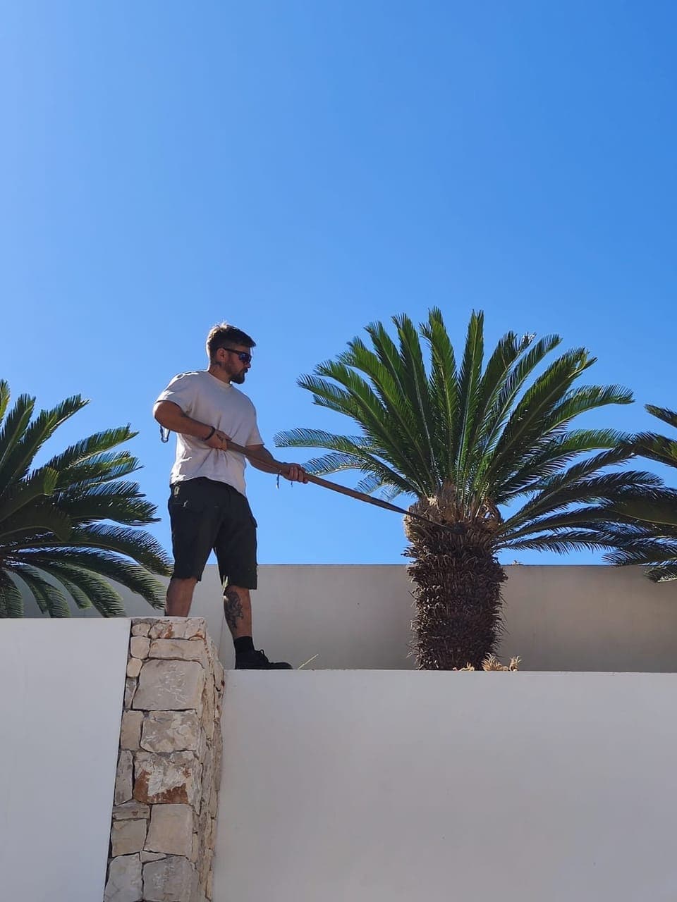 Jardinero podando una cícada desde un muro en una villa de Moraira